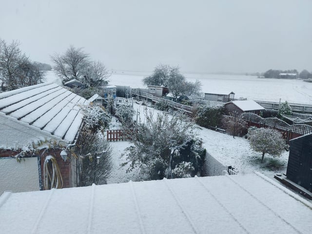 Snow in Silk Willoughby, by Julie Johnson.