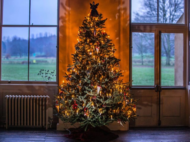 Christmas trees have been erected all around the historic abbey.