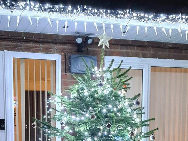This photo of a beautifully lit Christmas tree was sent in by Jess Bird.