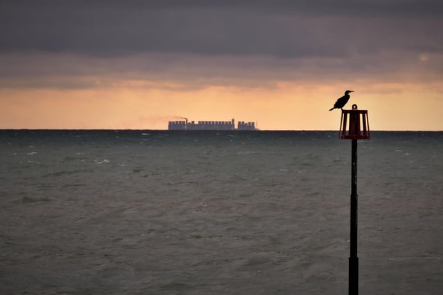 The Cormorant and Castle - a new pub for Eastbourne? So suggest Geoff and Janet Scott, who say they have no idea what the ship on the horizon is carrying! SUS-201215-104354001