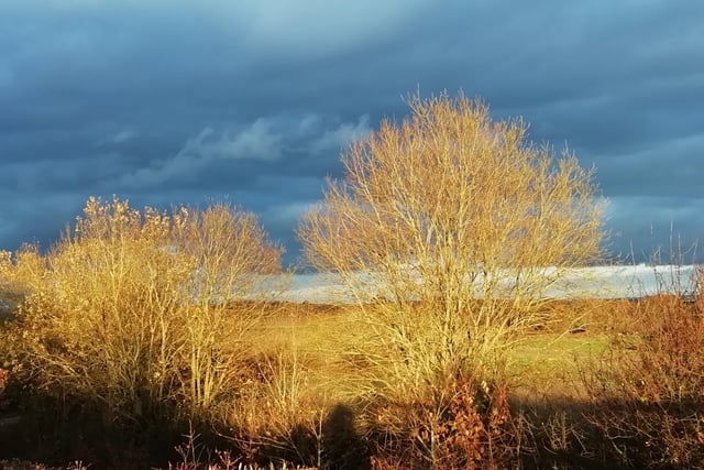A winter's afternoon in Polegate, taken by Don Mackay with a Huawei smartphone. SUS-201215-111946001