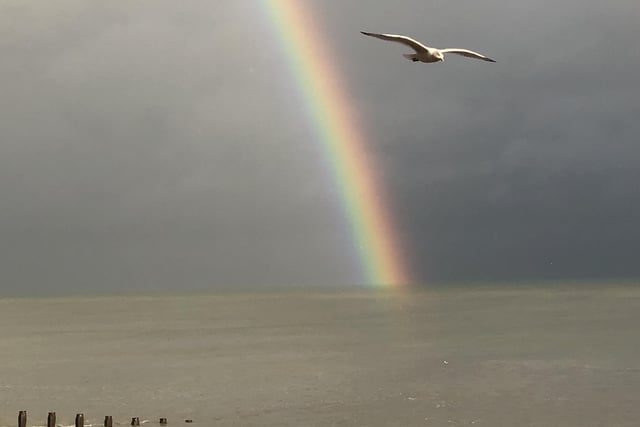 Rainbow and seagull at Holywell, by Caroline Keighley-Elstub. SUS-201215-112554001