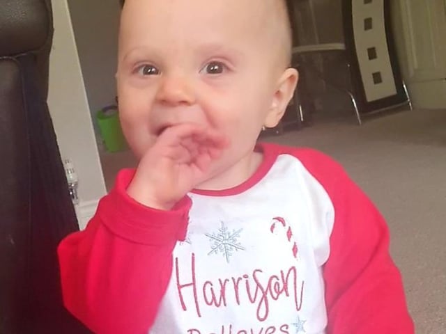 Harrison, 9 months old