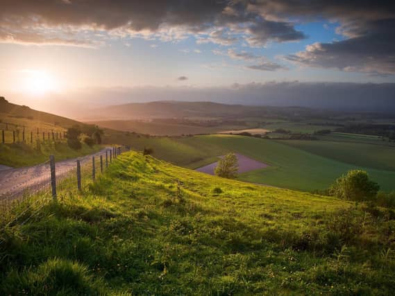 The South Downs