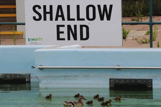 July: Peterborough Lido was only open to ducks as coronavirus forced the first full year closure in the pool's history