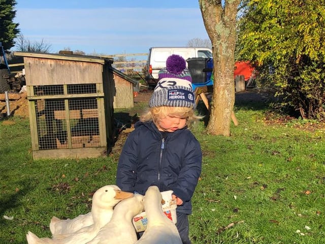 Freddie feeds the geese