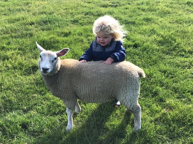 Freddie and a sheep