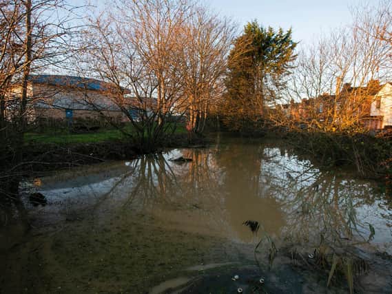 The River Nene, behind residents of Lincoln Road, burst its banks. Photo: Leila Coker.