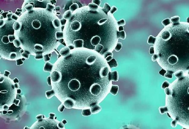 In July, figures released by the Office for National Statistics revealed which areas of Peterborough had been worst hit by the coronavirus pandemic