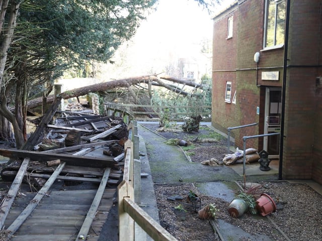 Some trees were lost during the day of heavy rainfall