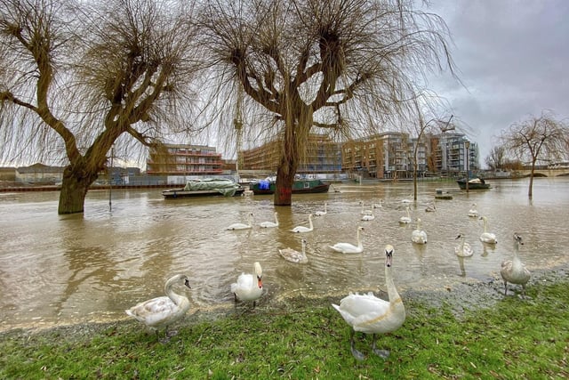 The boats show the normal bankside on Peterborough's Embankment. Picture: Toby Wood