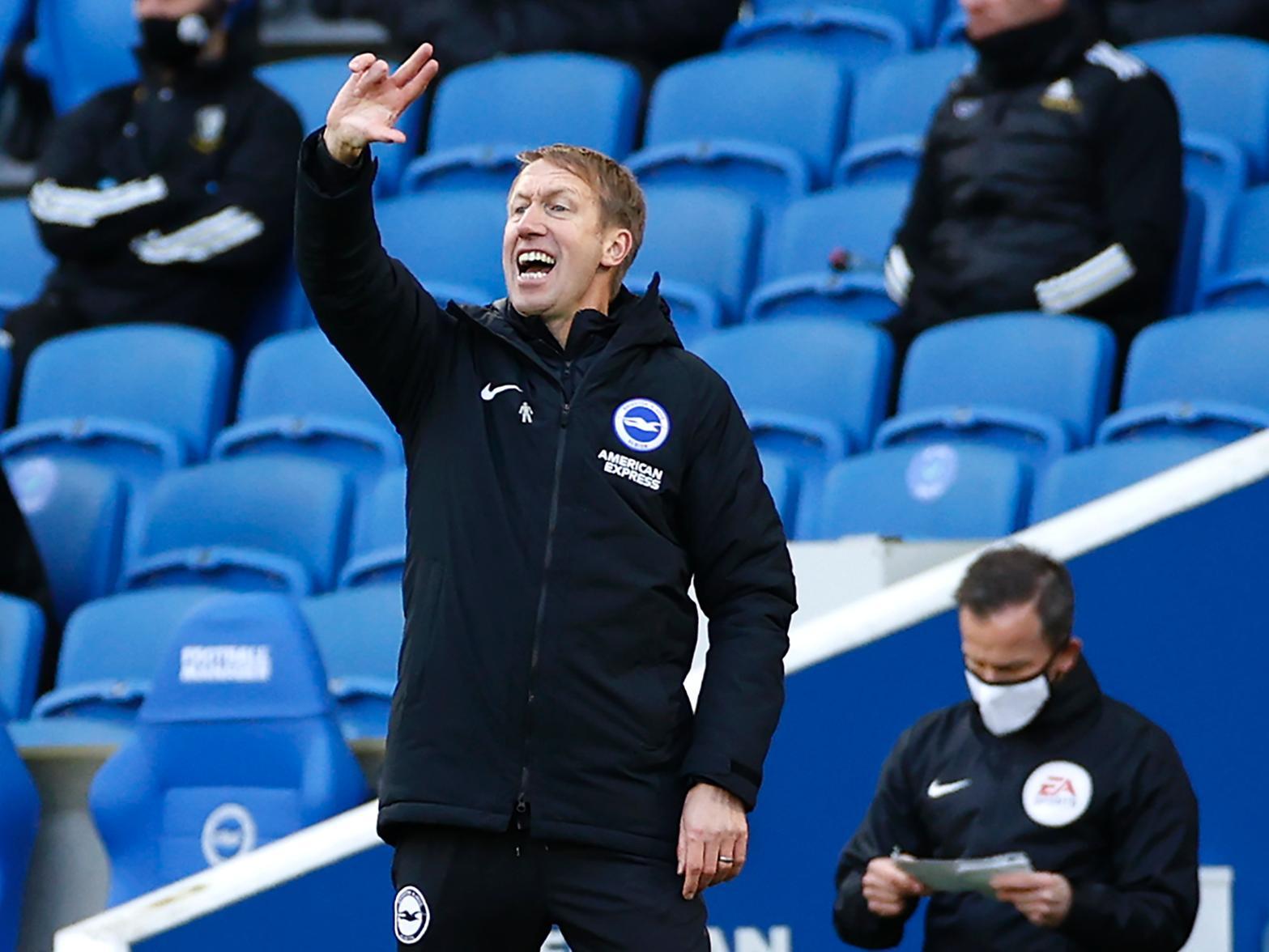 Brighton and Hove Albion head coach Graham Potter
