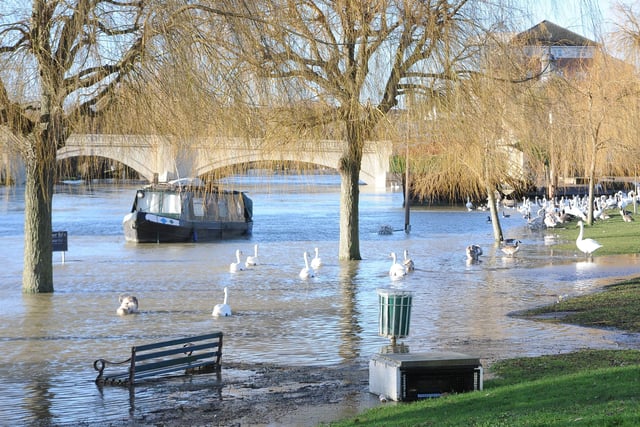 High water levels on the Embankment. Picture: David Lowndes