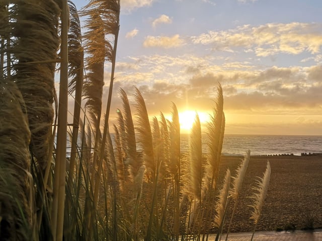 Lauren Brosson captured the sun peeping through the pampas grass at Eastbourne beach, SUS-201230-103724001