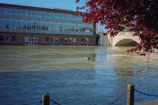 Sandbags were placed to protect the offices in this flood.