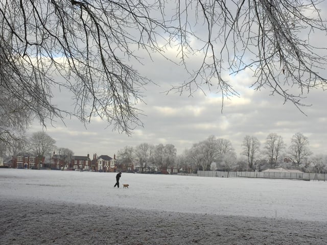 A dog walker braves the conditions in Boston's Central Park.