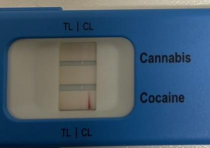 A driver failed a roadside drug wipe showing positive for cannabis and cocaine