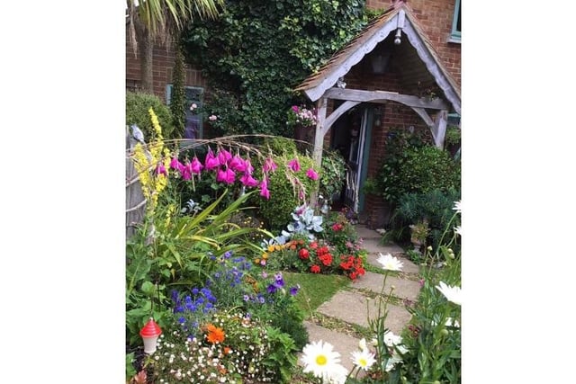 Trudi Harrison shared this picture of her garden, which she said had been the 'best it had ever been'.
