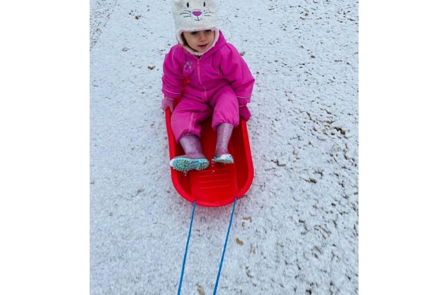 Poppy enjoys being pulled on a sledge near her home in Enstone (photo by Kayleigh Jaycock)