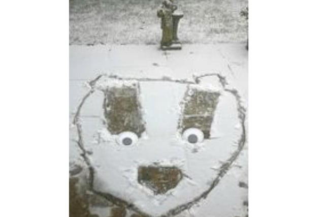 A face in the snow in a Banbury back garden (photo from Patsy O'Sullivan)