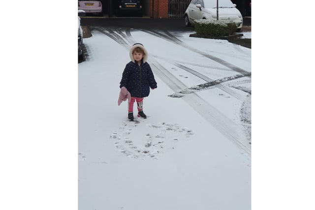 Bow Luna, aged 2, enjoying her first ever walk in the snow with Bunny in Banbury (photo from Roxie Clarke)
