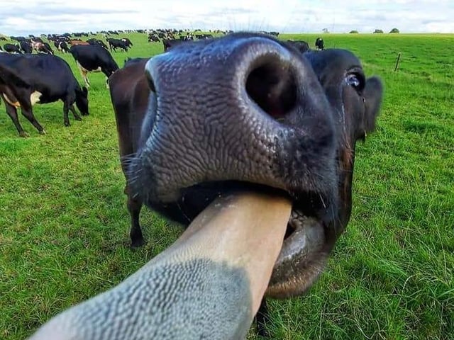 "Taken at Ashby St Legers, sums up what I think to 2020."