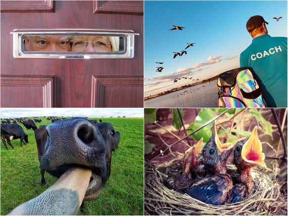 We asked our readers to share their favourite pictures from 2020.