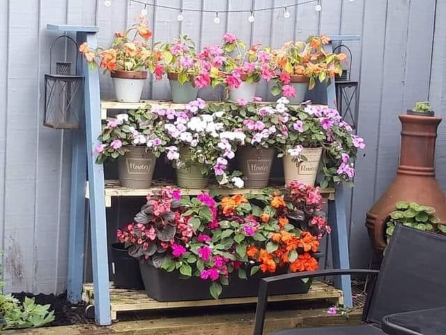 "Did a lot of gardening."