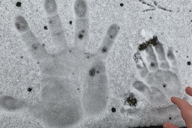 Father and son hand prints from father Frankie Lester and son, 21-month-old Frankie Lester in Banbury