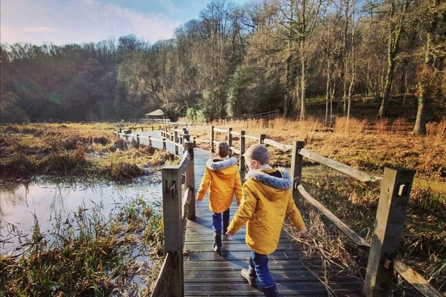Hayley Flynn took this photo at Wakehurst Place in January 2020
