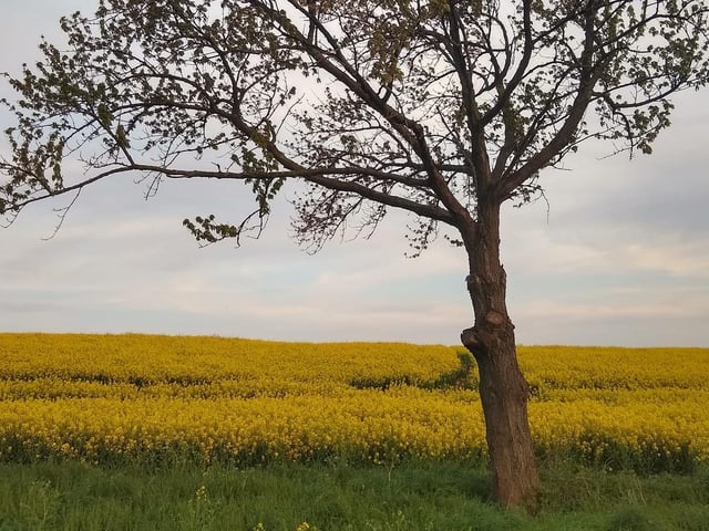 "2020 marked a fresh start. I moved from Ireland to beautiful Northamptonshire in March. While the year was far from perfect, it wasn't all bad and I am grateful to have such amazing surroundings."
