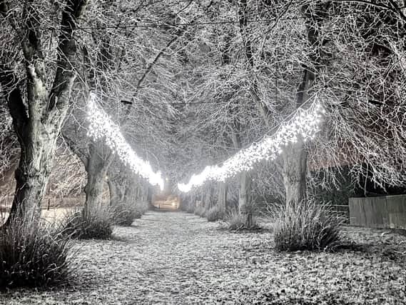 Winter lights in Weston under Wetherley, taken by Jane Jones.