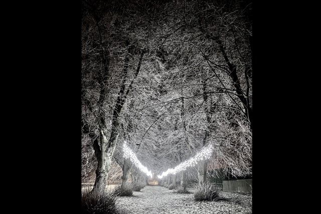 Winter lights in Weston under Wetherley, taken by Jane Jones.