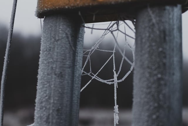 Winter photos by Mirie-Marie Shanks, Ephemeral Photography.