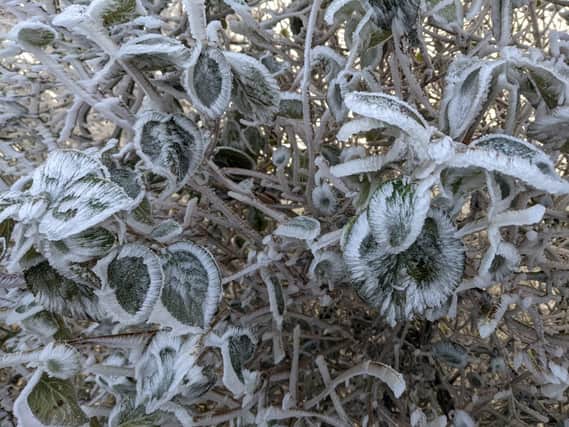 A frosty morning in Stopsley Way! Taken January 7