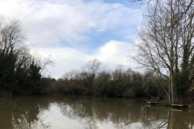 Vivienne Harman has captured these good looking reflections on her daily walk at Loughton lodge.