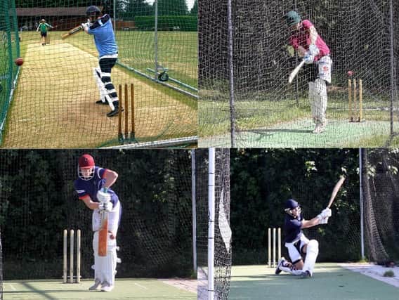 In the nets / Pic by Ron Hill