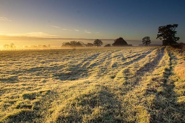 A frosty misty morning in Hatton. Photo by Nina Driver (Nina Driver Photography)
