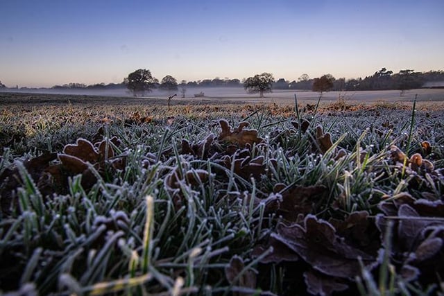 A frosty misty morning in Hatton. Photo by Nina Driver (Nina Driver Photography)