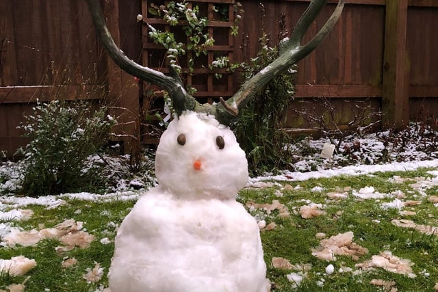 Debbie Moss sent us this picture of a snow deer made by her children.