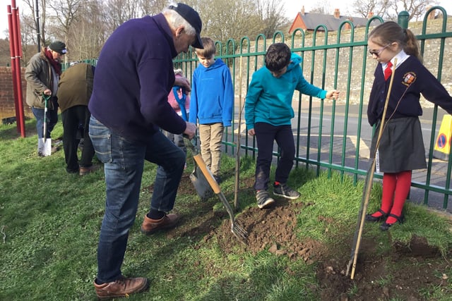 St Philip's Catholic Primary School pupils planting lime trees on the school grounds last year