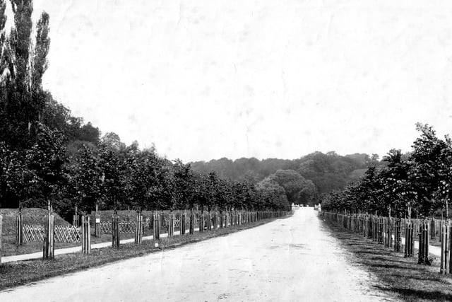 New Road shortly after it opened in the 1890s, later to be named Mill Road