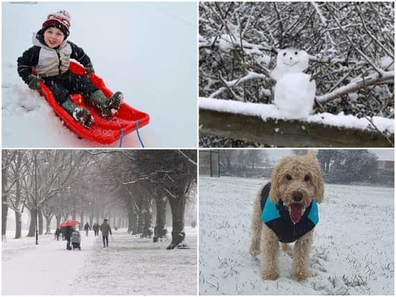 Snow arrives in Northamptonshire! Photos clockwise from top left: Stacey White, Tracey Bushell, Levi Jackson and Amy Donegan