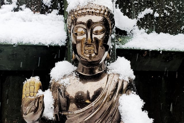 Kym Ward's Buddha in the snow