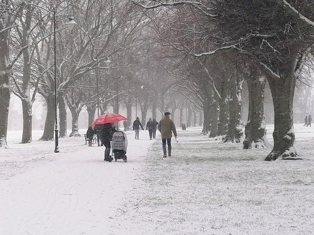 A picturesque Abington Park. Photo by Levi Jackson