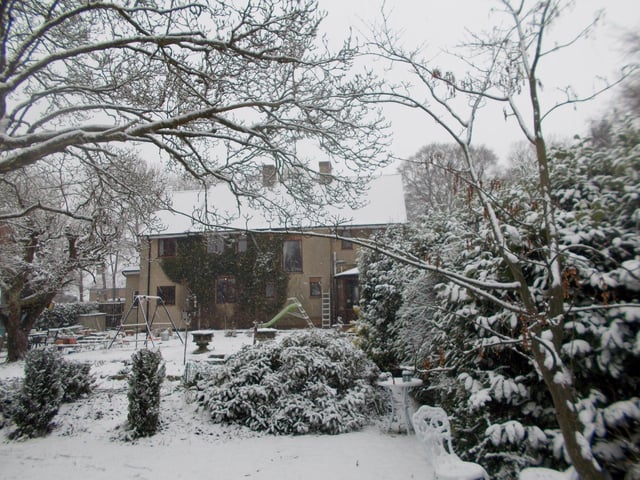 John Wright said his garden 'looks like fairy land'