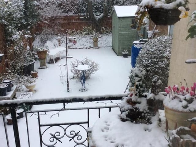 Eileen Russell's garden in central Northampton