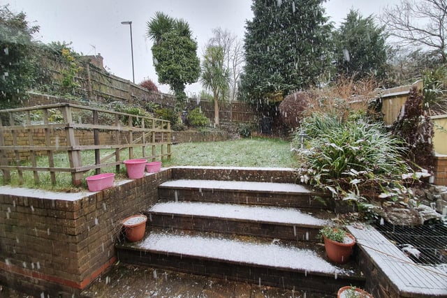 A snowy garden in Broadfield