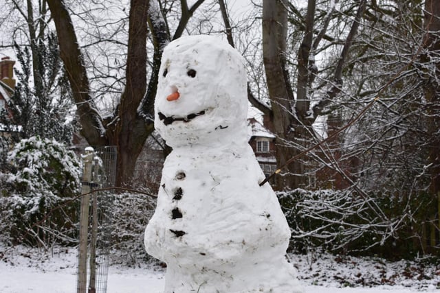 This jolly fellow is another inhabitant of Whitehall Rec.