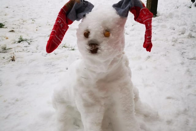 Jonathan Bailey's snowdog is so cute!